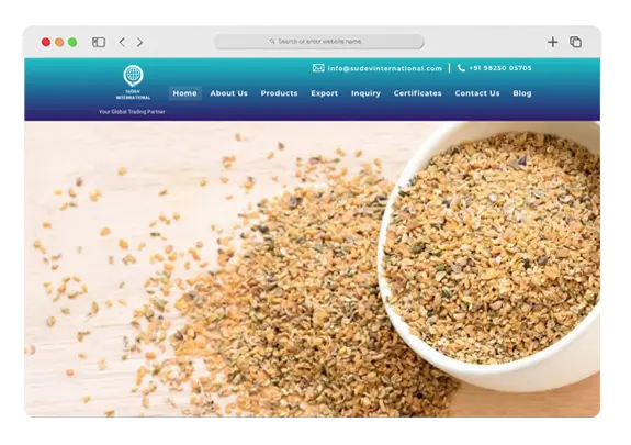 SEO Consultants in Ahmedabad SEO Consultants In Ahmedabad